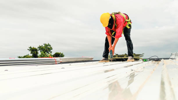 Best Storm Damage Roof Repair  in Greeneville, TN